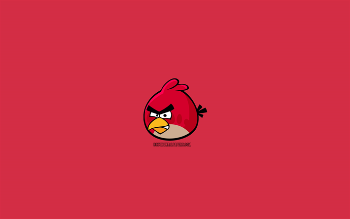 4k, Punainen, minimaalinen, Angry Birds, punainen tausta, luova, Punainen 4k