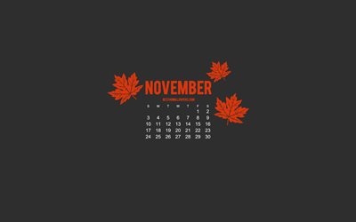 2019 November Calendar, minimalism style, gray background, autumn, 2019 calendars, Gray 2019 November Calendar, creative art