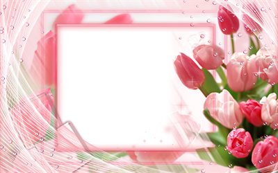 pink tulips frame, 4k, floral concepts, floral frames, white backgrounds, pink flowers, pink floral frame