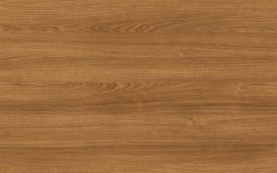brun clair en bois de texture, en bois, de milieux, de bois, de textures, la lumi&#232;re brun origines, macro, bois brun p&#226;le, brun clair en bois