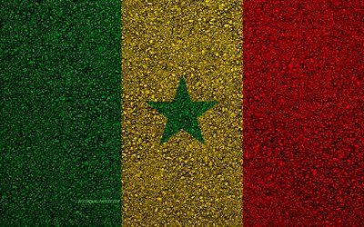 Bandiera del Senegal, asfalto, trama, bandiera su asfalto, bandiera Senegal, in Africa, in Senegal, le bandiere dei paesi Africani