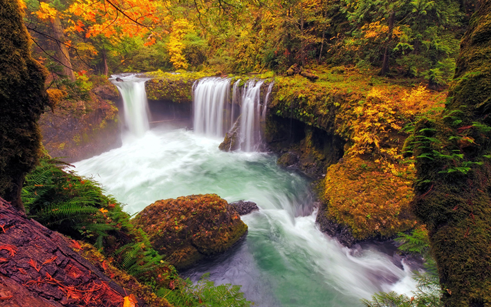 滝, 湖, 秋, 黄色の木, 秋の景観, 森林, 秋の滝