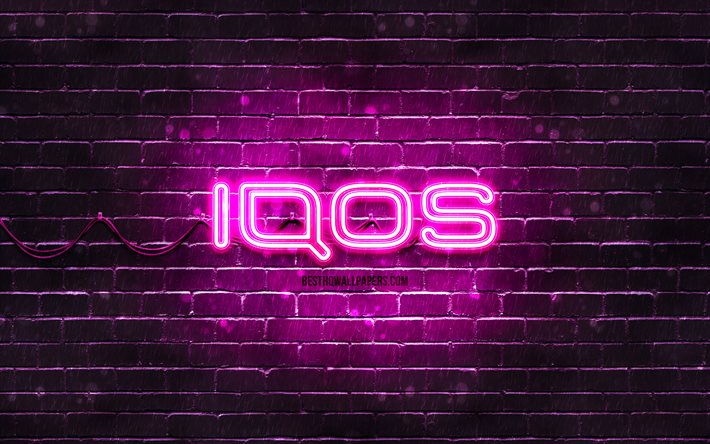 Logotipo IQOS roxo, 4k, parede de tijolos roxa, logotipo IQOS, marcas, logotipo IQOS neon, IQOS