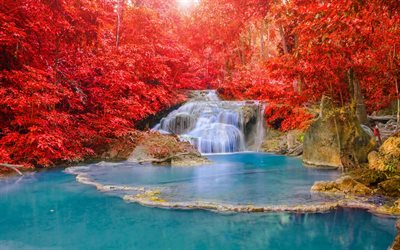 lago, outono, floresta, vermelho &#225;rvores, lago azul, outono floresta