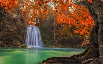 outono cachoeira, floresta, lago, folhas de outono, rock, outono