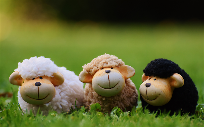 ovelhas, 4k, grama verde, close-up, prado, desfoque, cer&#226;mica brinquedos