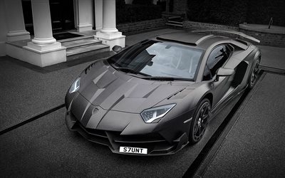 Lamborghini Aventador, Mansory, black carbon Aventador, tuning, sports car, italnskie supercars, Lamborghini