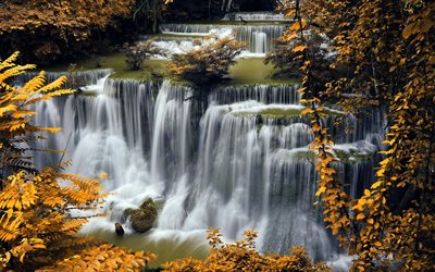 sonbahar, şelale, nehir, sonbahar yaprakları, sarı yapraklar, Hırvatistan, Plitvice G&#246;lleri