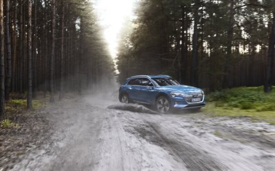 4k, Audi e-tron, 2018, elektrikli crossover, dış, yeni mavi e-tron elektrikli araba, Alman otomobil, Audi