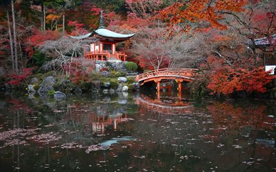 Japanilainen temppeli, syksy, Japanilainen arkkitehtuuri, puinen silta, lake, syksyn maiseman, Kioton, Japani