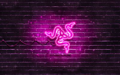 Razer violetti logo, 4k, violetti tiiliseinä, Razer logo, tuotemerkit, Razer neon logo, Razer
