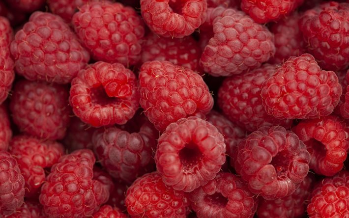 raspberries, berries, background with raspberries, berries background, raspberries texture