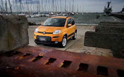Fiat Panda Trekking, 4k, crossovers, voitures 2020, Fiat 319, AU-spec, Fiat Panda 2020, HDR, voitures italiennes, Fiat