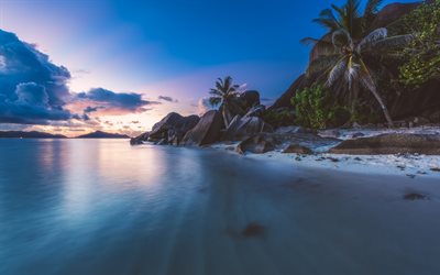 por la noche, islas tropicales, puesta de sol, Seychelles, palmeras, costa