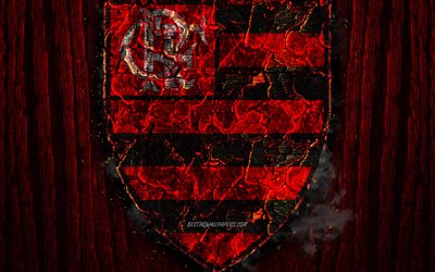 Flamengo FC, scorched logo, Brazilian Seria A, red wooden background, brazilian football club, CR Flamengo, grunge, football, soccer, Flamengo logo, fire texture, Brazil