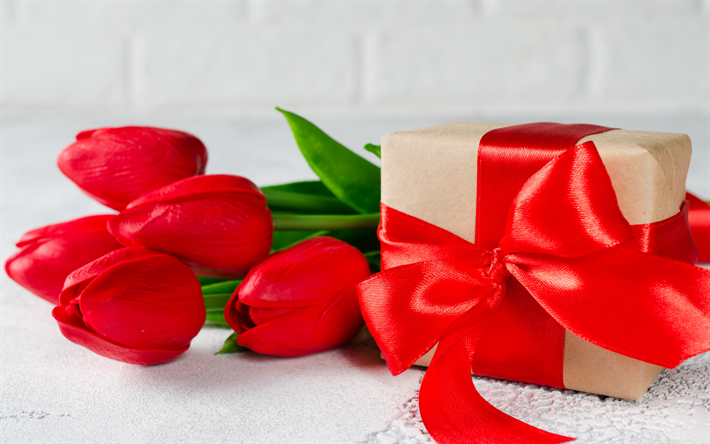 red tulips, gift, red silk bow, silk ribbon, March 8, spring, tulips, spring flowers