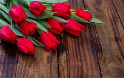 tulipanes rojos, flores de la primavera, el ramo de tulipanes, hermosas flores, tulipanes, 8 de Marzo, la primavera