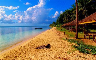 isla tropical, playa, Maldivas, mar, palmeras, costa
