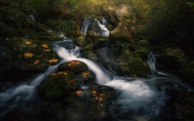 forest, waterfall, rocks, trees, stream