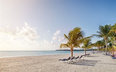 Cancun, plage, oc&#233;an, des palmiers, chaises longues, d&#39;Azur, au Mexique