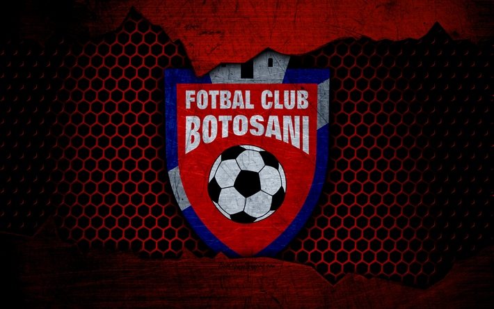 Download imagens FC Botosani, 4k, logo, Liga 1, futebol ...