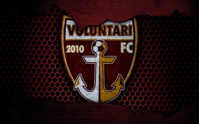 Voluntari, 4k, logo, Liga 1, soccer, football club, Liga I, Romania, grunge, metal texture, Voluntari FC