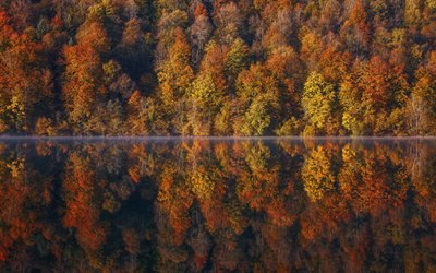 beautiful lake, autumn, fog, morning, yellow red forest, Franche-Comte, France