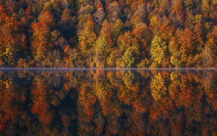 belo lago, outono, nevoeiro, manh&#227;, amarelo vermelho da floresta, Franche-Comt&#233;, Fran&#231;a