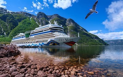 AIDAnova, cruise ships, pier, gull, MS AIDAnova