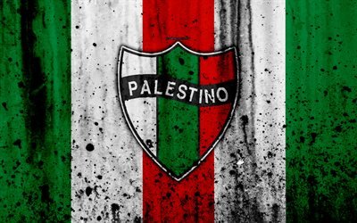 4k, FC Palestino, arte, grunge, Chileno Primera Divis&#227;o, futebol, clube de futebol, Chile, Palestino, logo, textura de pedra, Palestino FC