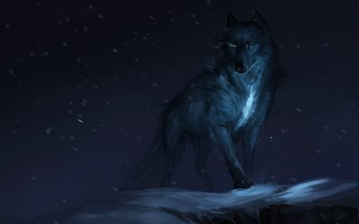 wolf, 4k, darkness, winter, fantasy art, night, predators