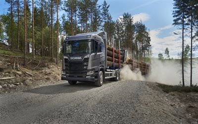 Scania R650, 4k, 2017 cami&#243;n 6x4, portador de la madera, de camiones, de la serie R de Scania