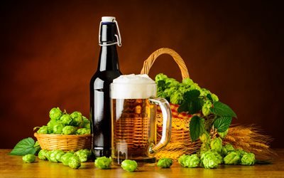 beer, green hops, brown bottle, bottle of beer
