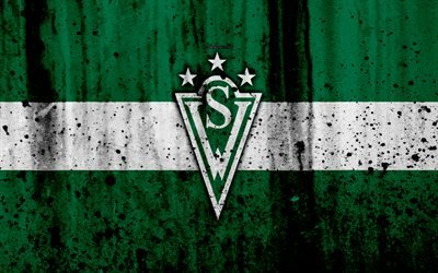 4k, Santiago Wanderers FC, art, grunge, Chilen Primera Division, jalkapallo, football club, Chile, Santiago Wanderers, logo, kivi rakenne
