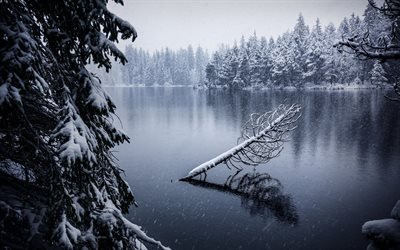 winter, mountain lake, forest, snow, frost, Switzerland