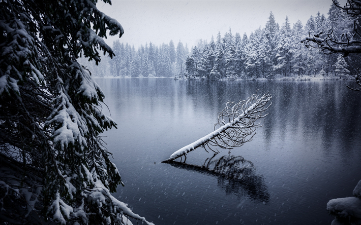 invierno, monta&#241;a, lago, bosque, nieve, escarcha, Suiza
