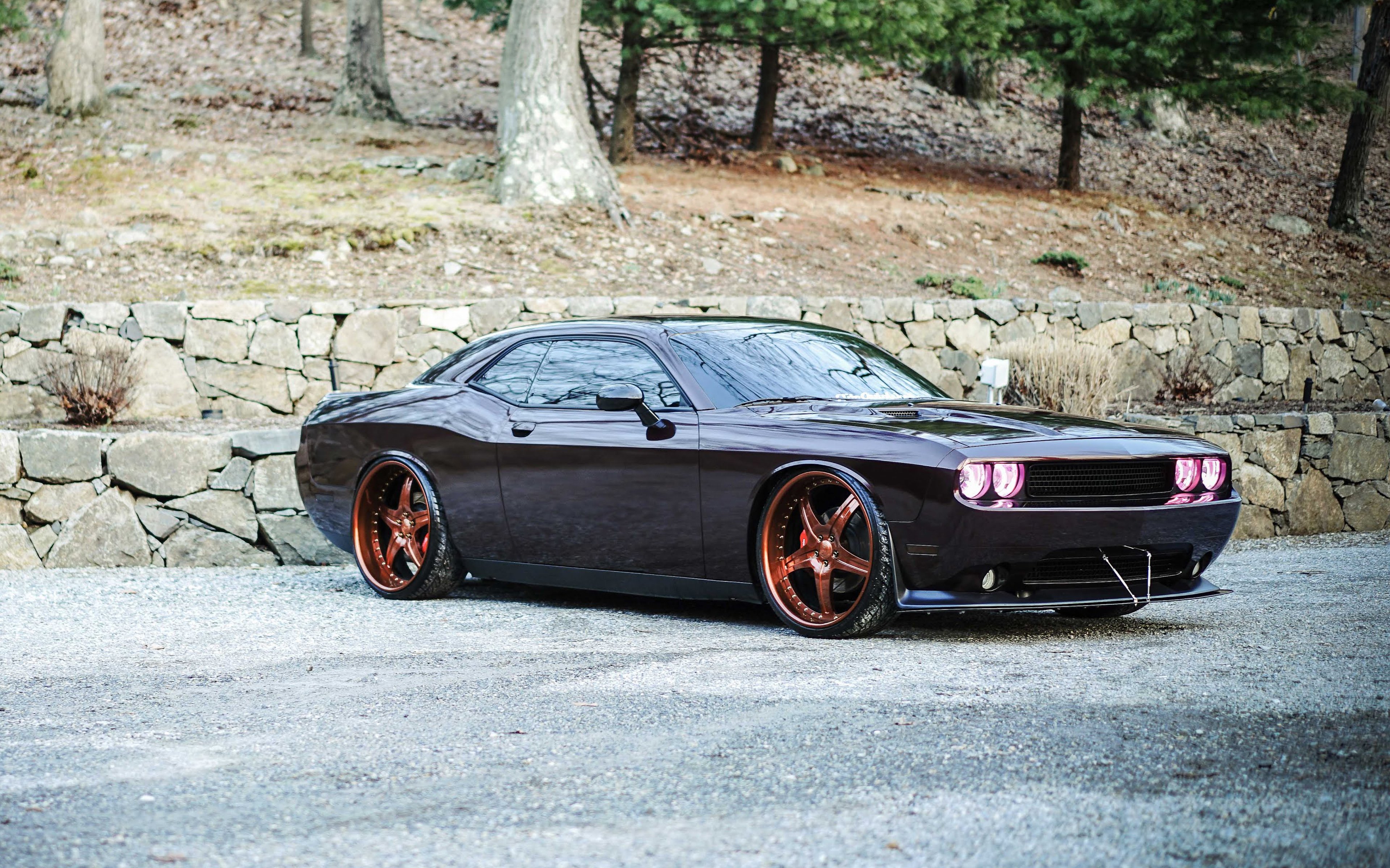 Dodge Challenger Coupe Tuning