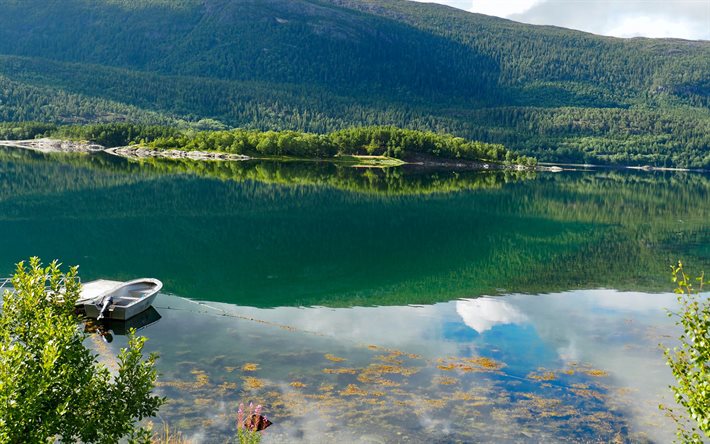Nordland, mountain lake, forest, green trees, beautiful lake, Norway