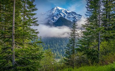 Mount Rainier, morning, mountain landscape, Cascade Range, mountains, forest, Washington State, USA