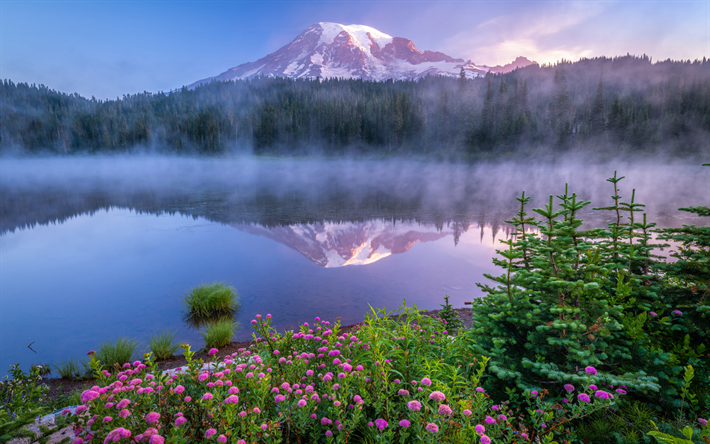 Lago de reflex&#227;o, paisagem montanhosa, Monte Rainier, montanhas, Cordilheira de Cascade, manh&#227;, nevoeiro, floresta, Estado de Washington, EUA
