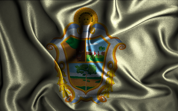 Manaus lippu, 4k, silkki aaltoilevat liput, Brasilian kaupungit, Manausin p&#228;iv&#228;, Manauksen lippu, kangasliput, 3D-taide, Manaus, Manaus 3D lippu