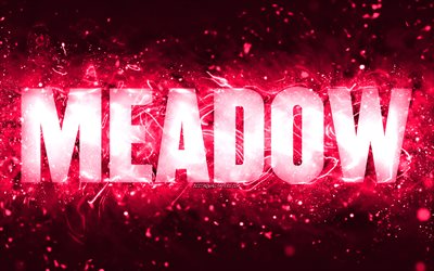 Happy Birthday Meadow, 4k, rosa neonljus, Meadow-namn, kreativ, Meadow Grattis p&#229; f&#246;delsedagen, Meadow Birthday, popul&#228;ra amerikanska kvinnonamn, bild med Meadow-namn, Meadow