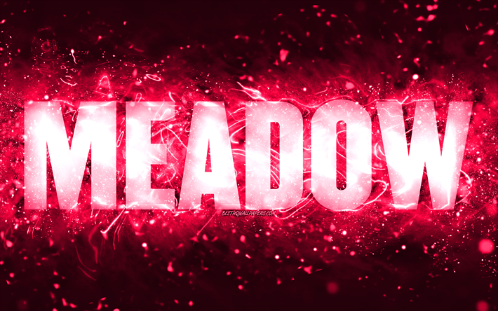Feliz anivers&#225;rio Meadow, 4k, luzes de n&#233;on rosa, Nome Meadow, criativo, Meadow Feliz Anivers&#225;rio, Meadow Birthday, nomes femininos americanos populares, imagem com o nome Meadow, Meadow