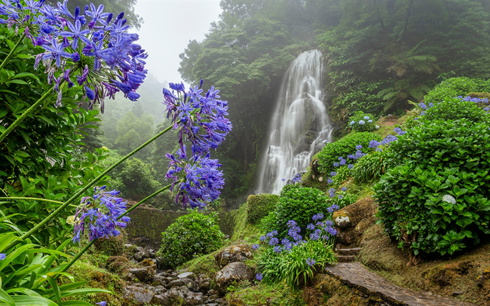 Parque Natural da Ribeira dos Caldeiroes, waterfall, Mirador de Ribeira dos Caldeiroes, blue flowers, jungle, beautiful waterfall, fog, Achada, Portugal