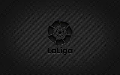 LaLiga carbon logo, 4k, grunge art, carbon background, creative, LaLiga black logo, La Liga, LaLiga logo, LaLiga