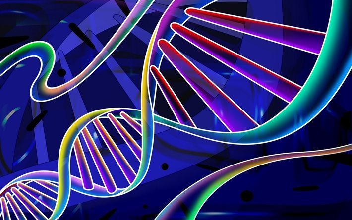 DNA-molekylen, 3d-dna, dna-neon, neon molekyl, vetenskap, biologi