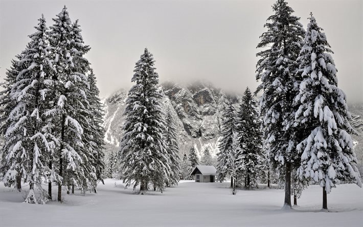winter, mountain, forest, hut, mountain landscape