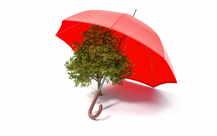 Proteger el medio ambiente, Salvar a la Tierra, los conceptos de ecolog&#237;a, &#225;rbol, paraguas rojo, medio ambiente