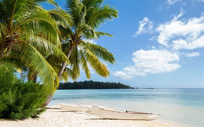 tropical islands, sea, beach, white boat, palm trees, summer travels
