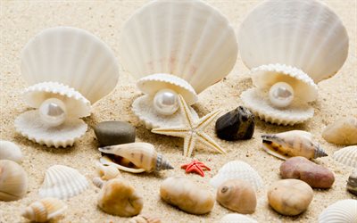 shells, pearls, sand, sea, starfish, stones